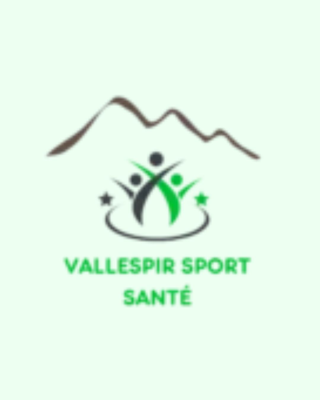 MSS Vallespir
